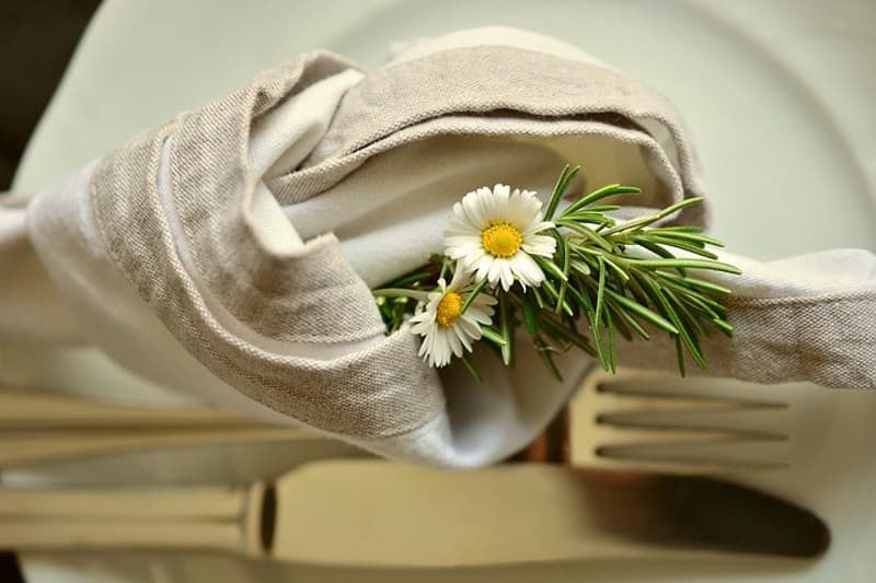 Napkin Graines de papilles, média et conseil en gastronomie végétale